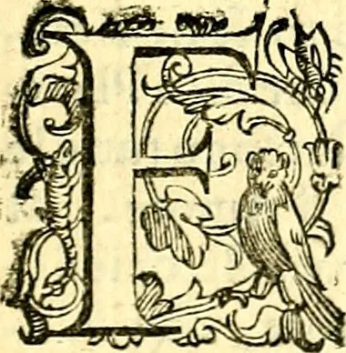 An illustration from Imprese illustri di diuersi, coi discorsi di Camillo Camilli, et con le figure intagliate in rame di Girolamo Porro Padouano .., 1586, leaf 182