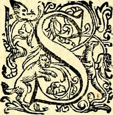 An illustration from Imprese illustri di diuersi, coi discorsi di Camillo Camilli, et con le figure intagliate in rame di Girolamo Porro Padouano .., 1586, leaf 191