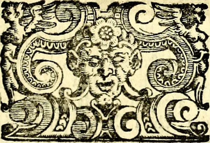 An illustration from Imprese illustri di diuersi, coi discorsi di Camillo Camilli, et con le figure intagliate in rame di Girolamo Porro Padouano .., 1586, leaf 20