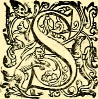 An illustration from Imprese illustri di diuersi, coi discorsi di Camillo Camilli, et con le figure intagliate in rame di Girolamo Porro Padouano .., 1586, leaf 204