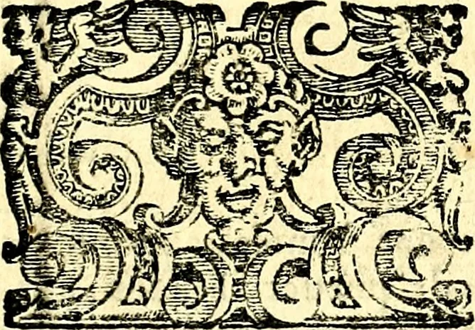 An illustration from Imprese illustri di diuersi, coi discorsi di Camillo Camilli, et con le figure intagliate in rame di Girolamo Porro Padouano .., 1586, leaf 206