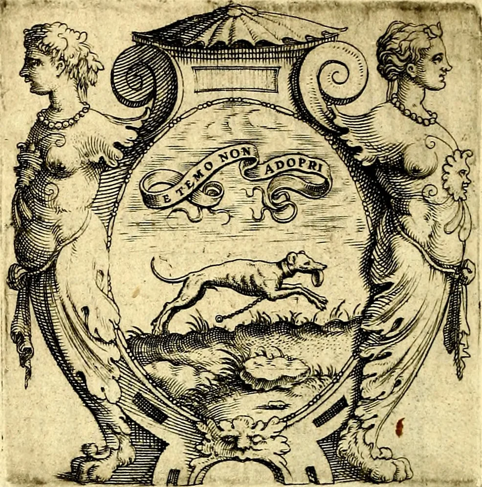 An illustration from Imprese illustri di diuersi, coi discorsi di Camillo Camilli, et con le figure intagliate in rame di Girolamo Porro Padouano .., 1586, leaf 207