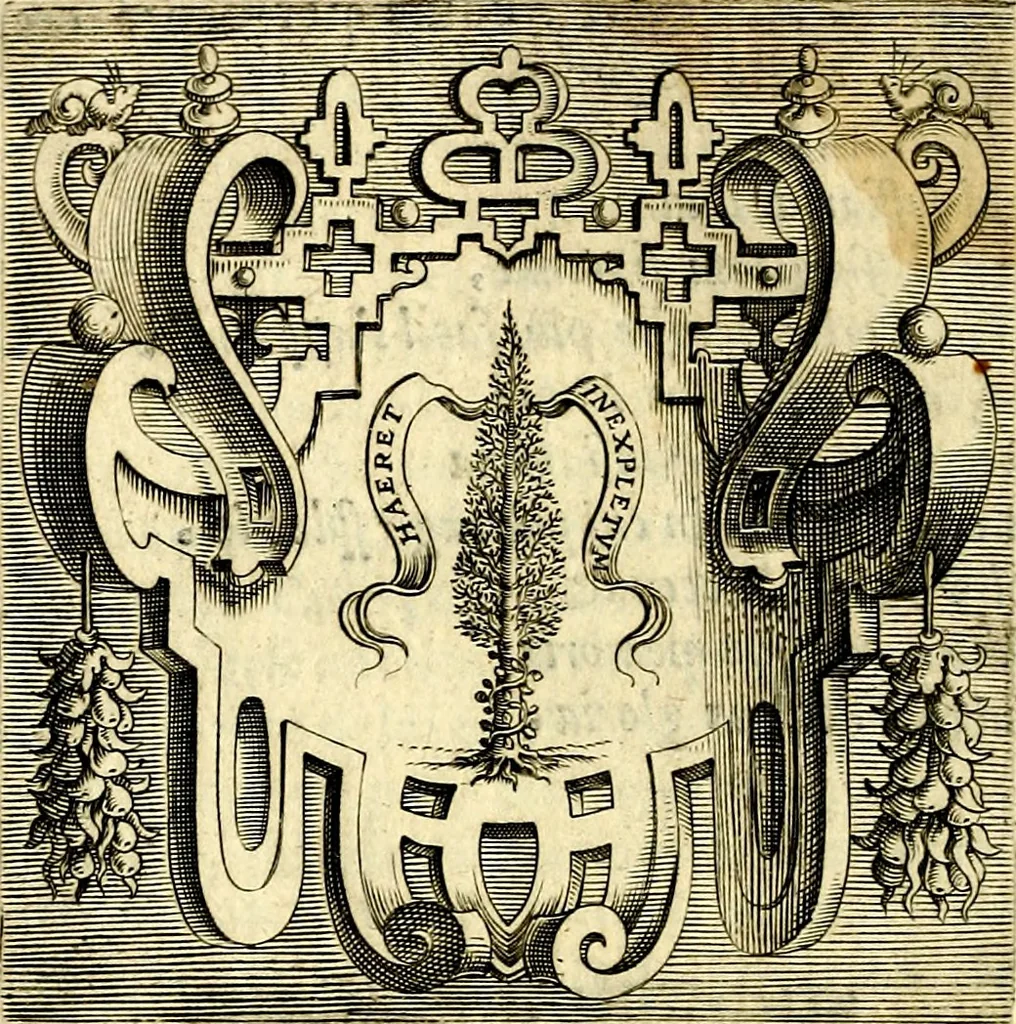 An illustration from Imprese illustri di diuersi, coi discorsi di Camillo Camilli, et con le figure intagliate in rame di Girolamo Porro Padouano .., 1586, leaf 21