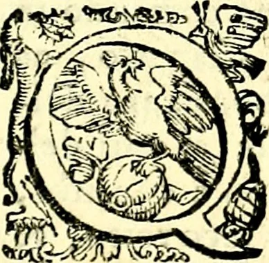 An illustration from Imprese illustri di diuersi, coi discorsi di Camillo Camilli, et con le figure intagliate in rame di Girolamo Porro Padouano .., 1586, leaf 210