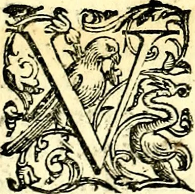 An illustration from Imprese illustri di diuersi, coi discorsi di Camillo Camilli, et con le figure intagliate in rame di Girolamo Porro Padouano .., 1586, leaf 216