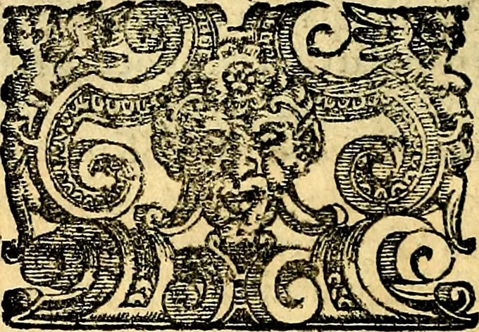 An illustration from Imprese illustri di diuersi, coi discorsi di Camillo Camilli, et con le figure intagliate in rame di Girolamo Porro Padouano .., 1586, leaf 239