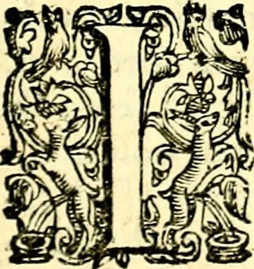 An illustration from Imprese illustri di diuersi, coi discorsi di Camillo Camilli, et con le figure intagliate in rame di Girolamo Porro Padouano .., 1586, leaf 240