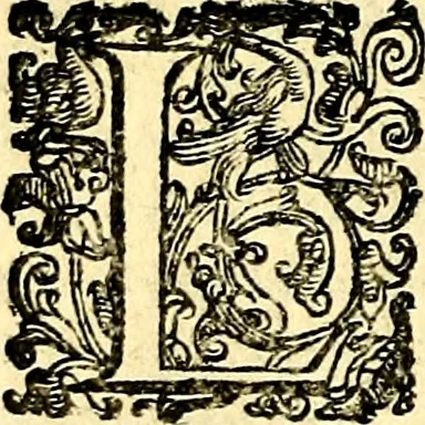 An illustration from Imprese illustri di diuersi, coi discorsi di Camillo Camilli, et con le figure intagliate in rame di Girolamo Porro Padouano .., 1586, leaf 255