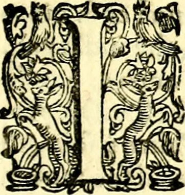 An illustration from Imprese illustri di diuersi, coi discorsi di Camillo Camilli, et con le figure intagliate in rame di Girolamo Porro Padouano .., 1586, leaf 258