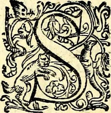 An illustration from Imprese illustri di diuersi, coi discorsi di Camillo Camilli, et con le figure intagliate in rame di Girolamo Porro Padouano .., 1586, leaf 261