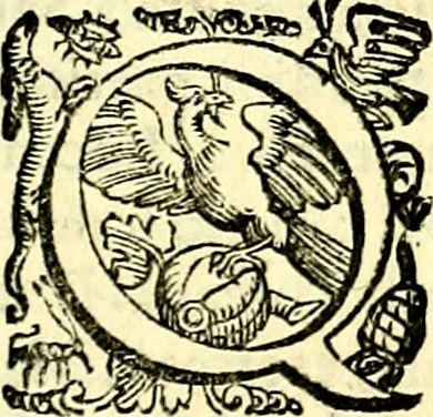 An illustration from Imprese illustri di diuersi, coi discorsi di Camillo Camilli, et con le figure intagliate in rame di Girolamo Porro Padouano .., 1586, leaf 264