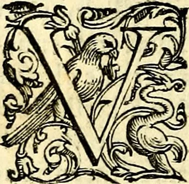 An illustration from Imprese illustri di diuersi, coi discorsi di Camillo Camilli, et con le figure intagliate in rame di Girolamo Porro Padouano .., 1586, leaf 27