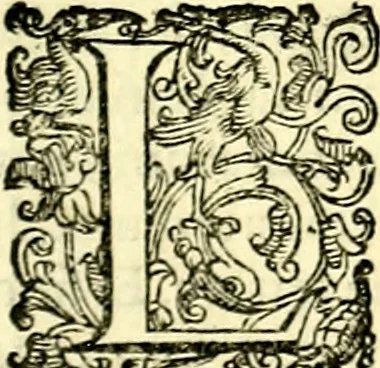 An illustration from Imprese illustri di diuersi, coi discorsi di Camillo Camilli, et con le figure intagliate in rame di Girolamo Porro Padouano .., 1586, leaf 276
