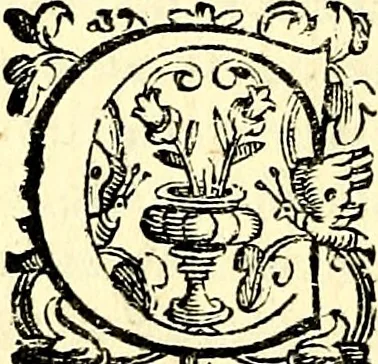 An illustration from Imprese illustri di diuersi, coi discorsi di Camillo Camilli, et con le figure intagliate in rame di Girolamo Porro Padouano .., 1586, leaf 279