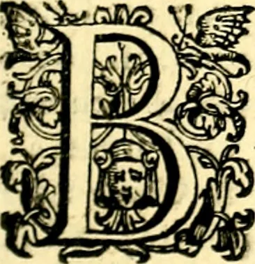 An illustration from Imprese illustri di diuersi, coi discorsi di Camillo Camilli, et con le figure intagliate in rame di Girolamo Porro Padouano .., 1586, leaf 294