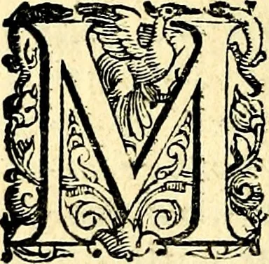 An illustration from Imprese illustri di diuersi, coi discorsi di Camillo Camilli, et con le figure intagliate in rame di Girolamo Porro Padouano .., 1586, leaf 297
