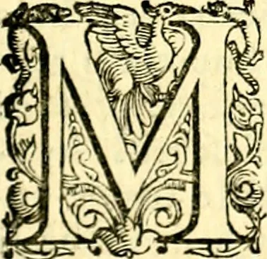 An illustration from Imprese illustri di diuersi, coi discorsi di Camillo Camilli, et con le figure intagliate in rame di Girolamo Porro Padouano .., 1586, leaf 30