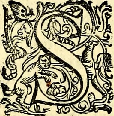 An illustration from Imprese illustri di diuersi, coi discorsi di Camillo Camilli, et con le figure intagliate in rame di Girolamo Porro Padouano .., 1586, leaf 303
