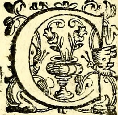 An illustration from Imprese illustri di diuersi, coi discorsi di Camillo Camilli, et con le figure intagliate in rame di Girolamo Porro Padouano .., 1586, leaf 309