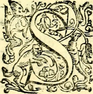 An illustration from Imprese illustri di diuersi, coi discorsi di Camillo Camilli, et con le figure intagliate in rame di Girolamo Porro Padouano .., 1586, leaf 312