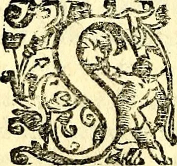 An illustration from Imprese illustri di diuersi, coi discorsi di Camillo Camilli, et con le figure intagliate in rame di Girolamo Porro Padouano .., 1586, leaf 315
