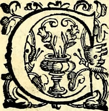 An illustration from Imprese illustri di diuersi, coi discorsi di Camillo Camilli, et con le figure intagliate in rame di Girolamo Porro Padouano .., 1586, leaf 339