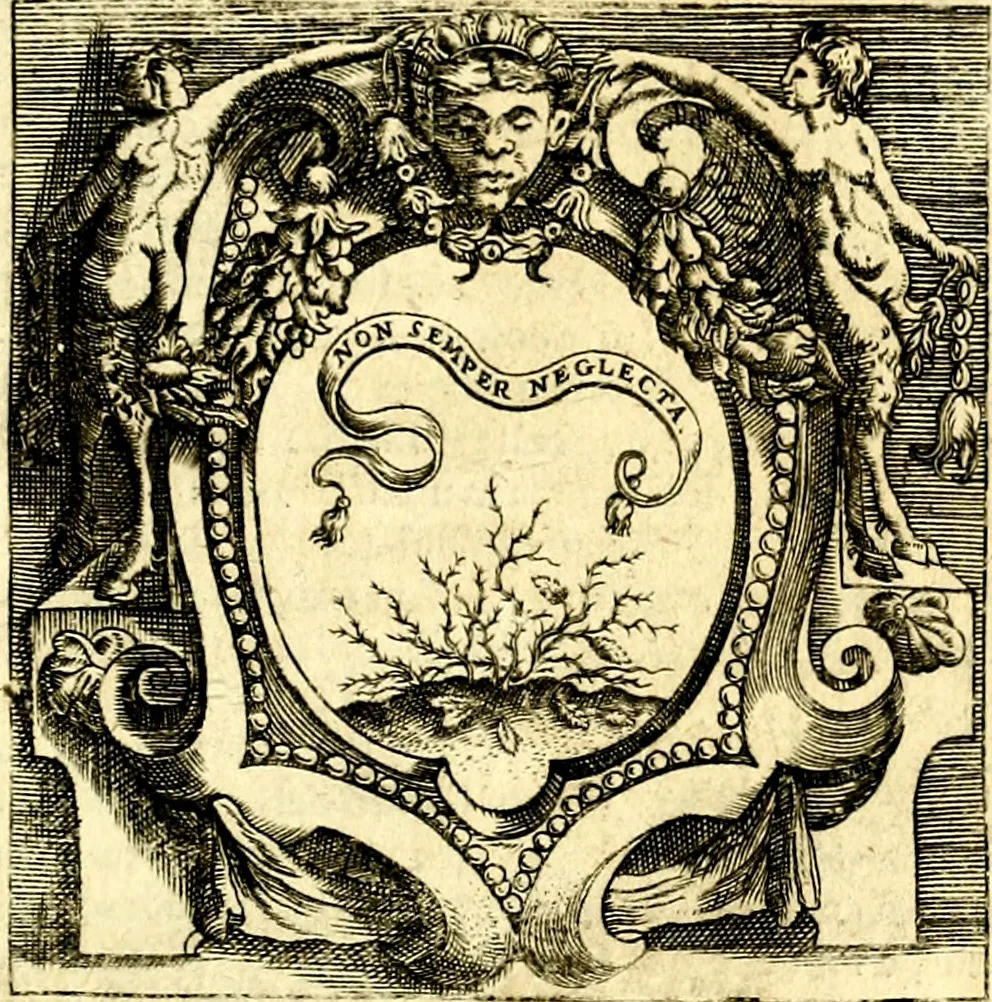 An illustration from Imprese illustri di diuersi, coi discorsi di Camillo Camilli, et con le figure intagliate in rame di Girolamo Porro Padouano .., 1586, leaf 346