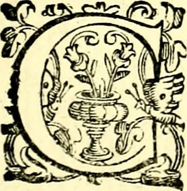 An illustration from Imprese illustri di diuersi, coi discorsi di Camillo Camilli, et con le figure intagliate in rame di Girolamo Porro Padouano .., 1586, leaf 346