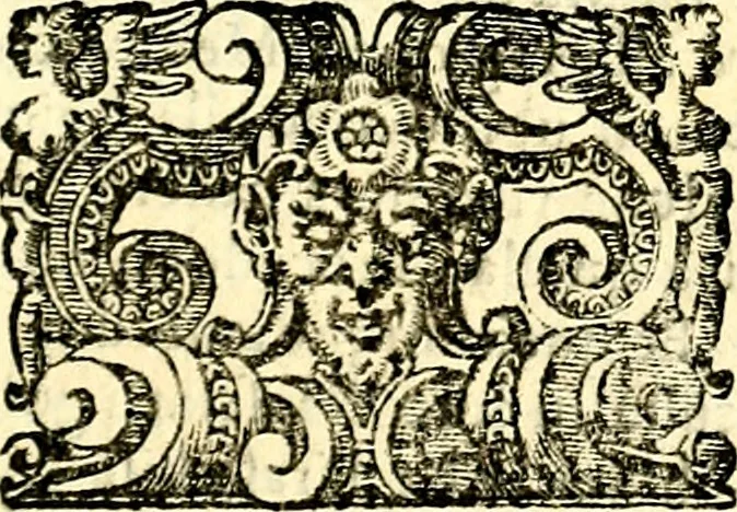 An illustration from Imprese illustri di diuersi, coi discorsi di Camillo Camilli, et con le figure intagliate in rame di Girolamo Porro Padouano .., 1586, leaf 38