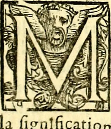 An illustration from Imprese illustri di diuersi, coi discorsi di Camillo Camilli, et con le figure intagliate in rame di Girolamo Porro Padouano .., 1586, leaf 42