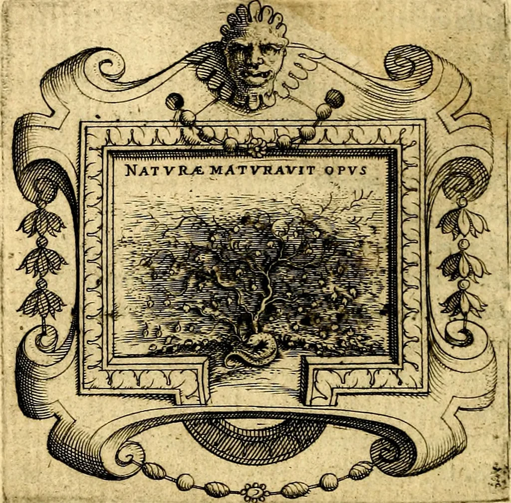 An illustration from Imprese illustri di diuersi, coi discorsi di Camillo Camilli, et con le figure intagliate in rame di Girolamo Porro Padouano .., 1586, leaf 57