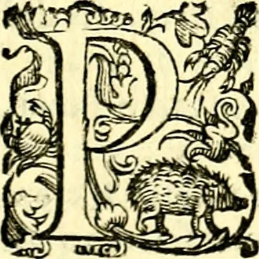 An illustration from Imprese illustri di diuersi, coi discorsi di Camillo Camilli, et con le figure intagliate in rame di Girolamo Porro Padouano .., 1586, leaf 78