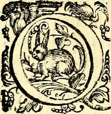 An illustration from Imprese illustri di diuersi, coi discorsi di Camillo Camilli, et con le figure intagliate in rame di Girolamo Porro Padouano .., 1586, leaf 87