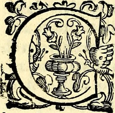 An illustration from Imprese illustri di diuersi, coi discorsi di Camillo Camilli, et con le figure intagliate in rame di Girolamo Porro Padouano .., 1586, leaf 93