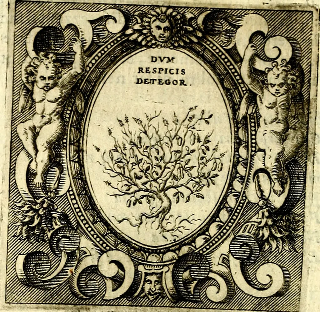 An illustration from Imprese illustri di diuersi, coi discorsi di Camillo Camilli, et con le figure intagliate in rame di Girolamo Porro Padouano .., 1586, leaf 111