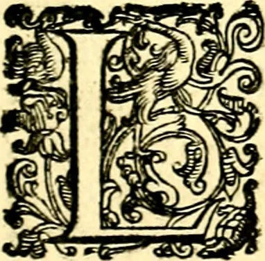 An illustration from Imprese illustri di diuersi, coi discorsi di Camillo Camilli, et con le figure intagliate in rame di Girolamo Porro Padouano .., 1586, leaf 114