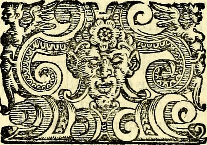 An illustration from Imprese illustri di diuersi, coi discorsi di Camillo Camilli, et con le figure intagliate in rame di Girolamo Porro Padouano .., 1586, leaf 125