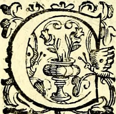 An illustration from Imprese illustri di diuersi, coi discorsi di Camillo Camilli, et con le figure intagliate in rame di Girolamo Porro Padouano .., 1586, leaf 135