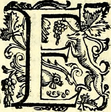 An illustration from Imprese illustri di diuersi, coi discorsi di Camillo Camilli, et con le figure intagliate in rame di Girolamo Porro Padouano .., 1586, leaf 141