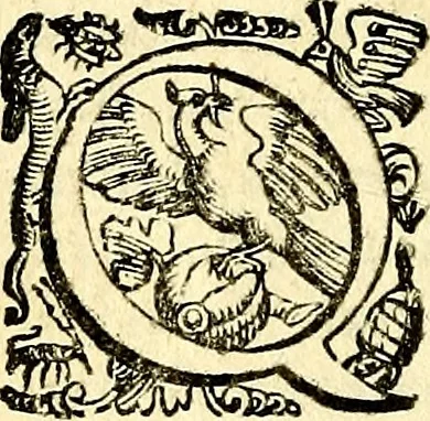 An illustration from Imprese illustri di diuersi, coi discorsi di Camillo Camilli, et con le figure intagliate in rame di Girolamo Porro Padouano .., 1586, leaf 15