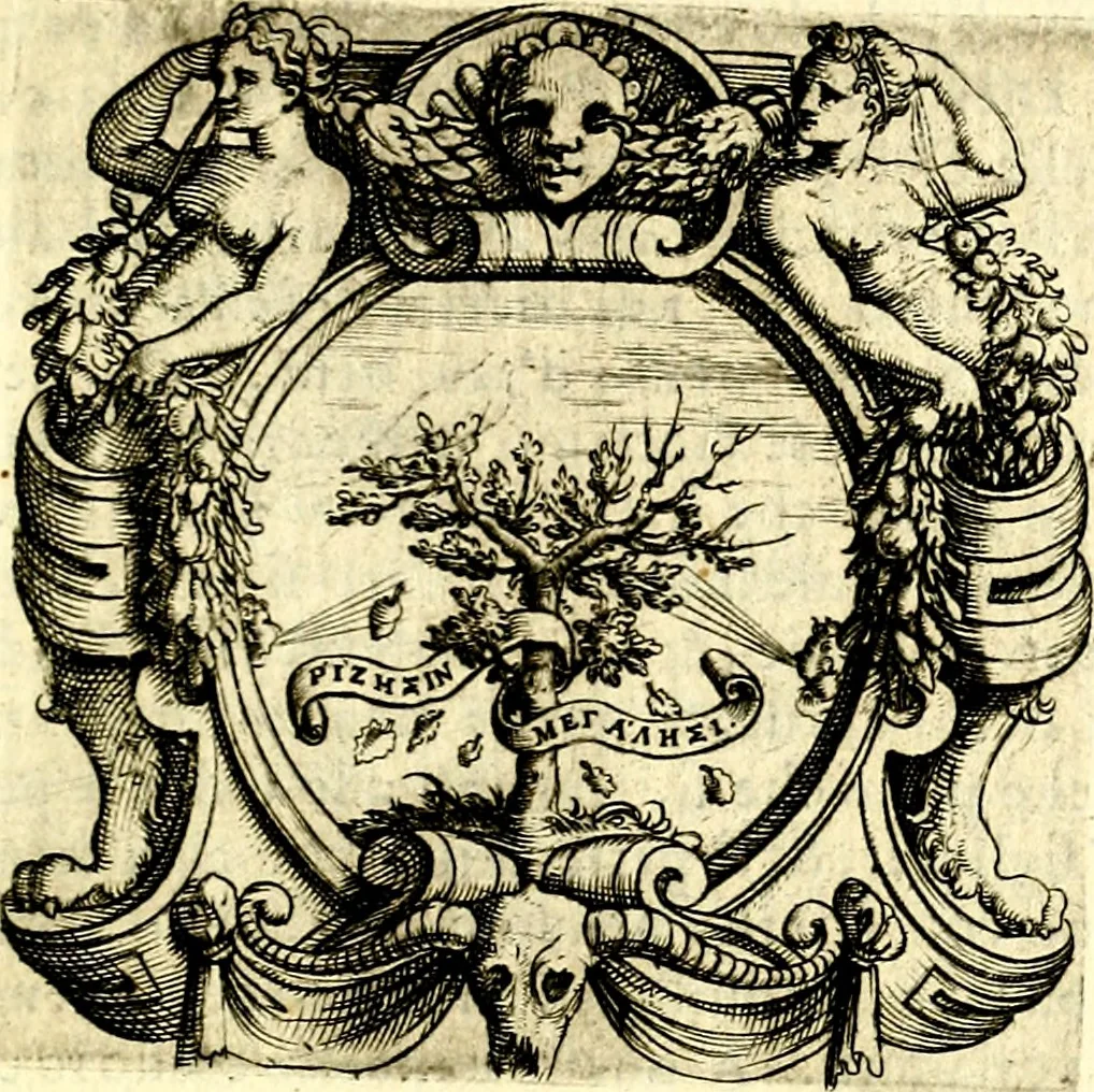 An illustration from Imprese illustri di diuersi, coi discorsi di Camillo Camilli, et con le figure intagliate in rame di Girolamo Porro Padouano .., 1586, leaf 150