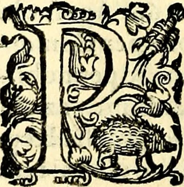An illustration from Imprese illustri di diuersi, coi discorsi di Camillo Camilli, et con le figure intagliate in rame di Girolamo Porro Padouano .., 1586, leaf 161