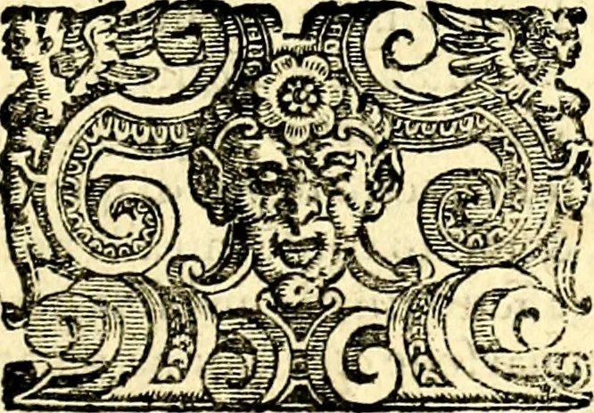 An illustration from Imprese illustri di diuersi, coi discorsi di Camillo Camilli, et con le figure intagliate in rame di Girolamo Porro Padouano .., 1586, leaf 172