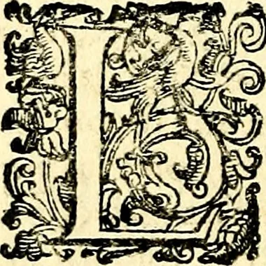 An illustration from Imprese illustri di diuersi, coi discorsi di Camillo Camilli, et con le figure intagliate in rame di Girolamo Porro Padouano .., 1586, leaf 201