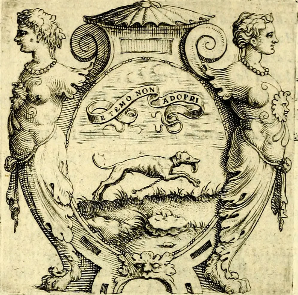 An illustration from Imprese illustri di diuersi, coi discorsi di Camillo Camilli, et con le figure intagliate in rame di Girolamo Porro Padouano .., 1586, leaf 207