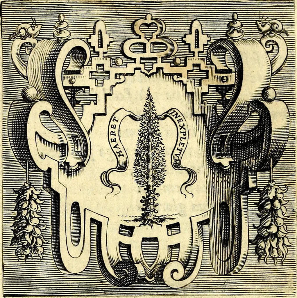 An illustration from Imprese illustri di diuersi, coi discorsi di Camillo Camilli, et con le figure intagliate in rame di Girolamo Porro Padouano .., 1586, leaf 21