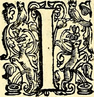 An illustration from Imprese illustri di diuersi, coi discorsi di Camillo Camilli, et con le figure intagliate in rame di Girolamo Porro Padouano .., 1586, leaf 21