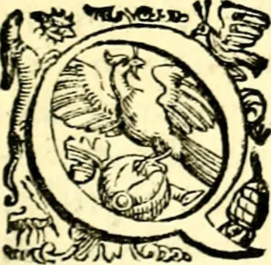 An illustration from Imprese illustri di diuersi, coi discorsi di Camillo Camilli, et con le figure intagliate in rame di Girolamo Porro Padouano .., 1586, leaf 210