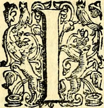An illustration from Imprese illustri di diuersi, coi discorsi di Camillo Camilli, et con le figure intagliate in rame di Girolamo Porro Padouano .., 1586, leaf 213