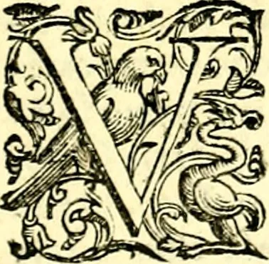 An illustration from Imprese illustri di diuersi, coi discorsi di Camillo Camilli, et con le figure intagliate in rame di Girolamo Porro Padouano .., 1586, leaf 216